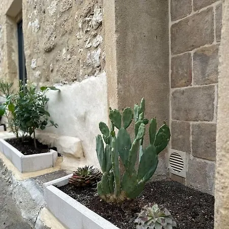 Pont Du Gard - Uzege - Maison Centre Historique